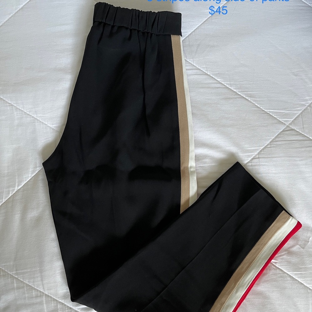 Aritzia Babaton Conan Pants